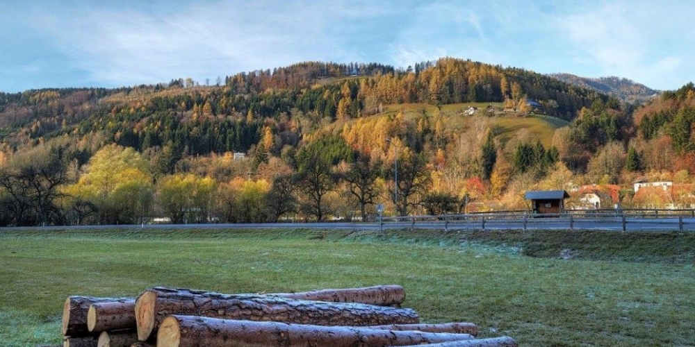 data/image/144/gemeinde_anger_article_4502_0.jpg