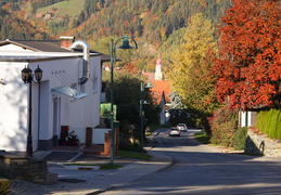 IMG 6297