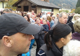 pic03641